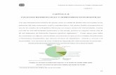 CAPÍTULO II COLEGIOS RESIDENCIALES Y DOMITORIOS …catarina.udlap.mx/u_dl_a/tales/documentos/ladi/carrion_f_a/capitulo2.pdf · Propuesta de Mejora Financiera en Colegios Residenciales