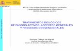 TRATAMIENTOS BIOLÓGICOS DE FANGOS ACTIVOS: ASPECTOS ...ceh-flumen64.cedex.es/tecnologia/XXXIII-curso/17-11-2015/Ortega de... · Y PROCESOS CONVENCIONALES Enrique Ortega de Miguel