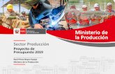 Ministerio de la Producción...Presupuesto asignado y metas programadas que se espera alcanzar el año 2019. 5. Programas Presupuestales del Sector Producción. 6. Problemas presentados