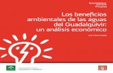 Los beneficios ambientales de las aguas del Guadalquivir ... · Esta investigación es la ganadora de la IV edición del Premio Tesis a la mejor Tesis Doctoral, convocado en 2008.