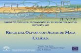 RIEGO DEL OLIVAR CON AGUAS DE MALA · 2007-05-30 · Victorino Vega Macías IFAPA, Centro “Alameda del Obispo” Junta de Andalucía GRUPO DE ENFOQUE: TECNOLOGÍAS EN EL RIEGO DEL