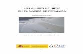 Estudio nivológico del macizo de Peñalara · 2016-01-22 · seca o de nieve húmeda. Otro de los criterios de clasificación atiende a características morfológicas, clasificándolos