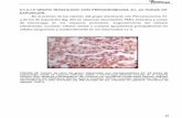 cdigital.dgb.uanl.mxcdigital.dgb.uanl.mx/te/1080127598/1080127598_03.pdf · neumocitos I y Il, zonas hemorrágicas en los espacios alveolares y ligero engrosamiento del tabique interalveolar