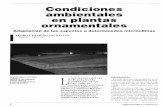 Condiciones ambientales en plantas ornamentales I · condiciones ambientales. Introducción En este artículo trataremos de la in- fluencia de las condiciones ambien- tales en las