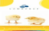 01 AVES 2017v6 - Lambabuelambabue.com.ar/languages/es/productos/linea_aves.pdf · La presencia de nucleótidos y nucleósidos libres estimulan la proliferación de las células del