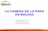 LA CADENA DE LA PAPA EN BOLIVIA · chuño, tunta 28.107 8,9 Total 315.815 100 . Valor de la producción de papa US$ 276 millones Valor de la ... •Harina de chuño •Harina, hojuela