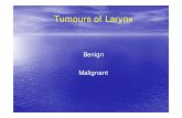 Benign Malignant - GMCH lectures/ENT/Tumours of Larynx (2).pdfCarcinoma Larynx • Occurs in every country in the world • 2.3% of all malignant male tumors & 0.4% of female • 1.3%