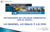 LO BUENO, LO MALO Y LO FEOindemipe.com/indemipe/Carlos-Aranda.pdf · estacionales. Asimismo, los estándares de calidad ambiental son uniformes para países enteros (como anteriormente