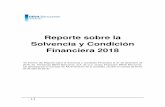 RSCF Reporte sobre la Solvencia y Condición Financiera ... · Reporte Sobre la Solvencia y Condición Financiera 2018 6 I. Resumen Ejecutivo Pensiones BBVA Bancomer, S.A. de C.V.