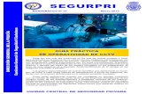 Cuerpo Nacional de Policía - SEGURPRI · 2014-06-27 · sector de seguridad privada a los nacionales de los Estados miembros de la Unión Euro-pea. (BOE 255 de 22.10.2011). Corrección
