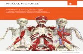 Premier Library Package - Primal Pictures · la cabeza, el cuello, la cara, las cavidades oronasales, la dentadura, cada uno de los dientes, el paladar y el suelo de la boca, la laringe