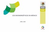 LOS BIOENERGÉTICOS EN MÉXICO - Home - OLADE · Política nacional en materia de bioenergéticos Plan Nacional de Desarrollo y Programa Sectorial de Energía 2007-2012: Tanto el