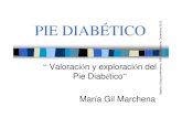 PIE DIABÉTICOPIE DIABÉTICO - Área Salud Badajoz · PIE DIABÉTICOPIE DIABÉTICO mbre 2012 a ria. Dicie m R Comunit “ Valoración y exploración del e rmería. EI Pie Diabético”