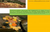 GARCÍA-LÓPEZ, J.M. & ALLUÉ CAMACHO, C., 2005. Ensayo de un sistema fitoclimático ...climatforest.com/wp-content/uploads/2016/06/Sistema... · 2016-06-29 · GARCÍA-LÓPEZ, J.M.