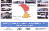 V33d3B (]3H VINnd VTIINOB - BVS Minsabvs.minsa.gob.pe/local/MINSA/1085_MINSA1473-1.pdf · En el sector Salud la Provincia Constitucional posee el Hospital Sabogal y el Policlínico