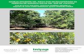 Manejo eficiente del riego por microaspersión en huertas de naranja dulce del sur de ... · 2018-12-05 · 6 ÍNDICE DE CUADROS Página Cuadro 1. Superficie total, cultivada e irrigada