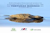 Estrategia Nacional para la Conservación y Protección de las NACIONAL para web.pdf · conservación de las tortugas marinas, iniciando en Tortuguero con Archie Carr a mediados de
