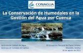 La Conservación de Humedales en la Gestión del Agua por Cuenca · Acuerdo de creación del GETH en cada Consejo de Cuenca que tenga una cuenca prioritaria dentro del estudio del