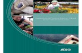 Diagnóstico del Turismo Rural en el Brasilrepiica.iica.int/docs/b3708e/b3708e.pdf · Otras legislaciones relacionadas al turismo rural, tanto a nivel nacional como de ... en el turismo