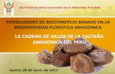 LA CADENA DE VALOR DE LA CASTAÑA AMAZONICA DEL PERUiiap.org.pe/Upload/Conferencia/CONF144.pdf · Antecedentes de la cadena de valor de la Castaña amazónica - 1999, Informe final