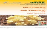 PROPAGACION Y MANTENIMIENTO DE CACTACEAS · 2019-03-04 · Cactáceas son suculentas. Esta familia originaria del Continente Americano, se distribuye desde el Sur de Canadá hasta