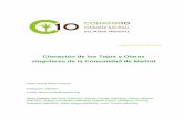Clonación de los Tejos y Olmos singulares de la Comunidad ... 2010/845215682.pdf · La clonación de individuos es una herramienta de conservación de especial utilidad para especies