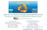 GES & TLC Biotecnología Aplicada SA de CV...GES & TLC Biotecnología Aplicada SA de CV . Proveemos las Soluciones Ambientales del Mañana, ¡HOY! ... atacados por el virus de la Mancha