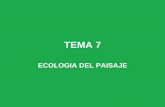 TEMA 7 - Facultad de Ciencias Exactas y Naturales y ...exa.unne.edu.ar/carreras/docs/ECOLOGIA Clase T7.pdf · forman un conjunto de interrelación e interdependencia. Porción de