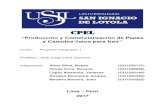 Producción y comercialización de papas y camotes listos para freírrepositorio.usil.edu.pe/bitstream/USIL/3041/1/2017... · 2018-12-03 · “Producción y Comercialización de