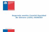 Segunda sesión Comité Equidad de Género (CEG) …Agenda Comité Equidad de Género abril de 2019 Cierre y Acuerdos Plan de Trabajo Presentación objetivos y funciones del CEG. Avances