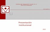 Presentación CIJ 2010 - AMP/RSamprs.org.br/conicrack/oficina5/of5-apresentacao-cij.pdf · Atención a bebedores problema Programa Atención Curativa Proyectos Prioritarios ... •Intervención