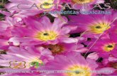 Cactáceas y Suculentas Mexicanas - web.ecologia.unam.mxweb.ecologia.unam.mx/cactsucmex/csm2013_58_4.pdf · riodo de floración, la formación de frutos y la propagación de semillas.