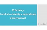 Práctica 3. Aprendizaje observacional y conducta violenta vdefumh1012.edu.umh.es/wp-content/uploads/sites/37/2013/02/Práctica-3.-Aprendizaje-obser...Teoríadelaprendizajesocial%