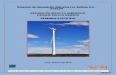 Empresa de Generación Eléctrica Las Salinas S.A - ESTUDIO ... EJECUTIVO EIA SAMACA.pdf · 2.4.12 Comisionado de Equipos y Puesta en Servicio ... 5.3.7 Subprograma de Manejo para