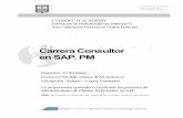 temario carrera consultor sap pm - CVOSOFT.com · 2019-08-28 · Nuestra Carrera Consultor en SAP PM le permitirá en 10 semanas de formación intensiva, dominar a nivel Usuario Clave