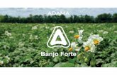 Banjo Forte PRESENTACIÓN v2 - cassiulet.com · Banjo Forte ® Solución nueva y diferenciada Excelente control de mildiu. Efecto secundario sobre Alternaria Doble acción en la planta: