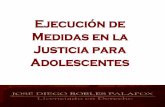 Ejecución de Medidas en la Justicia para Adolescentes · 2018-02-27 · Principios de la Ejecución Postulados generales Orientan la actividad del Estado en la regulación y ejecución