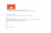RESUMEN EJECUTIVO LICITACIÓN ABIERTA CON …prontus.codelco.cl/.../resumen_ejecutivo_cc_088.pdf · 2019-12-17 · corporaciÓn nacional del cobre de chile vicepresidencia de proyectos
