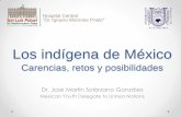 Los indígena de México - CEMESAD, UNACHcemesad.unach.mx/images/Ponencias_congreso/indigenas_en_mexico.pdf · Veracruz (PNUD, 2010). • Inversión desigual . Rezago social • Limitaciones