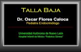 Pediatra Endocrinólogo Universidad Autónoma de Nuevo Leónrespyn2.uanl.mx/especiales/2005/ee-11-2005/documentos/42.pdf · 2005-09-13 · lineal de 5 a 7 cm. por año, hasta los