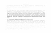 CAPITULO I ASPECTOS GENERALES DE LA GRAN EMPRESA ...ri.ufg.edu.sv/jspui/bitstream/11592/7746/2/629.287 4-K19d-CAPITULO I.pdf · REPUESTO AUTOMOTRIZ EN EL SALVADOR ... Manual de crédito