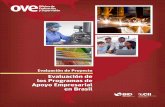 Evaluación de los Programas de en Brasil · 2018-11-08 · crecimiento de las empresas y fomentar la competitividad de las industrias brasileñas, sin que hasta la fecha se disponga