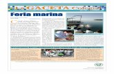 El periódico del Recinto Universitario de Mayagüez Año 7 Vol. I • …admin.uprm.edu/prensa/gaceta/2005_febrero_marzo.pdf · 2018-09-27 · la Primera Feria Marina auspiciada
