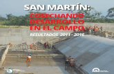 COSECHANDO DESARROLLO EN EL CAMPO · 2016-06-30 · productivas de cacao, café y leche. Con el cofinanciamiento otorgado, los agriculto-res de San Martín adquirieron insumos estraté-gicos