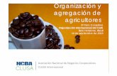Organización y agregación de agricultores · 2013-11-15 · crecimiento sostenible y desarrollo del Ñ servicios estatale s acceso a mercados de producciÓn acceso a insumos proveedores