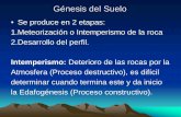Génesis del Suelo · Génesis del Suelo • Se produce en 2 etapas: 1.Meteorización o Intemperismo de la roca 2.Desarrollo del perfil. Intemperismo: Deterioro de las rocas por la.