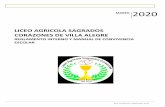 LICEO AGRICOLA SAGRADOS CORAZONES DE VILLA ALEGRE · 2020-03-05 · DE LOS PADRES Y APODERADOS COMO AGENTE PARTICIPANTE ... como un conjunto de normas y disposiciones que regulan