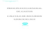 PRESUPUESTO GENERAL DE GASTOS CÁLCULO DE RECURSOS … · 2019-09-05 · PRESUPUESTO GENERAL DE GASTOS CÁLCULO DE RECURSOS 2019 Proyecto de Ordenanza Cálculo de Recursos y Presupuesto