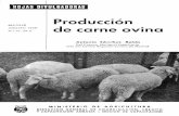 Producción...i ^ i ,^ii^, MADRID AGOSTO 1959 N. 16 - 59 H Producción de carne ovina Antonio Sánchez Belda Del Cuerpo Nacional Veterinario. Jefe del Centro Regional Lanero de Madrid.