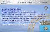 EUIT FORESTAL · 2013-05-16 · EUIT FORESTAL Puesta en práctica y evaluación del modelo multidisciplinar de tutorización, prácticas docentes y evaluación en asignaturas con
